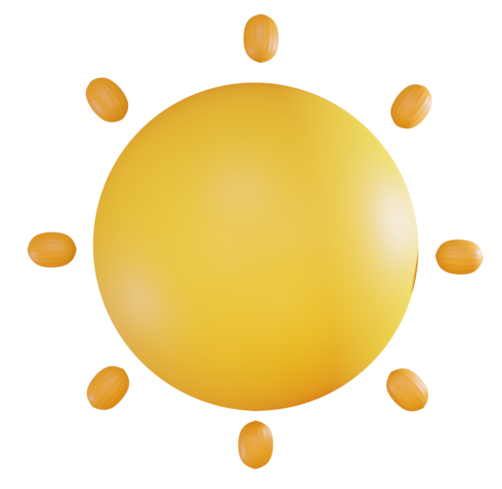 Sunny